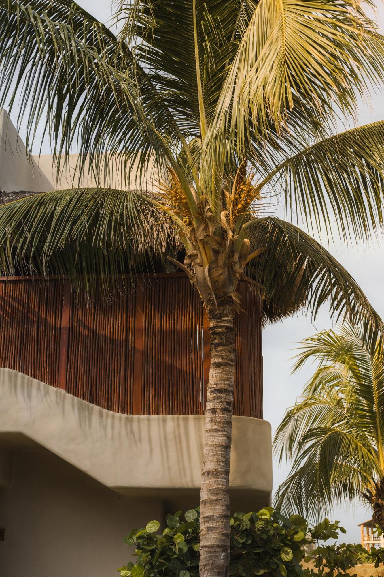 El Origen Villas & Spa-Puerto Escondido Puerto Escondido  Exteriör bild